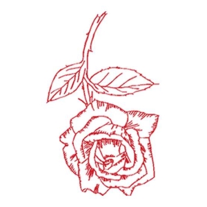 美丽花卉