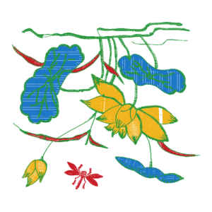 莲花