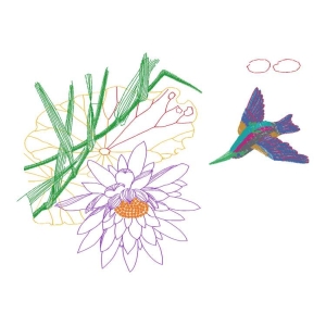 美丽花鸟