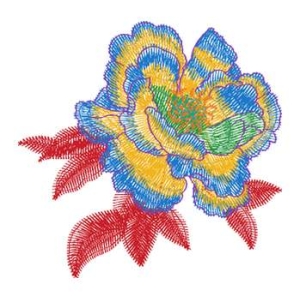 美丽花卉