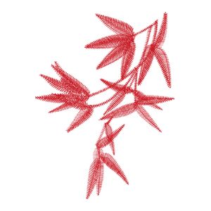 竹子