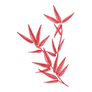 竹子