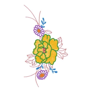 美丽花卉