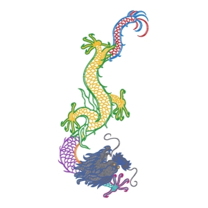龙