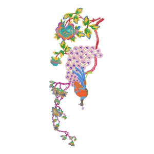孔雀