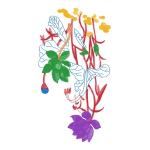 莲花