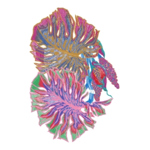 美丽花卉香蕉叶