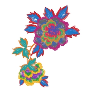 美丽花卉