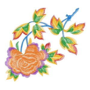 美丽花卉