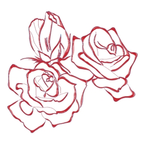 美丽花卉