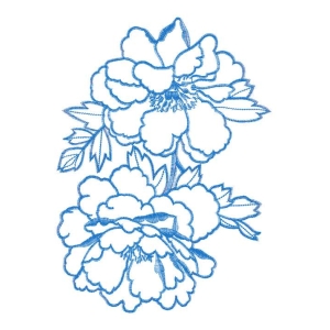 美丽花卉