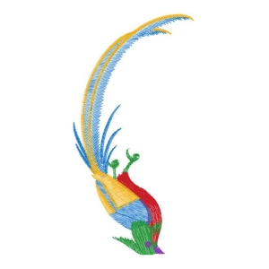 鸟