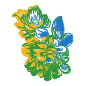 美丽花卉