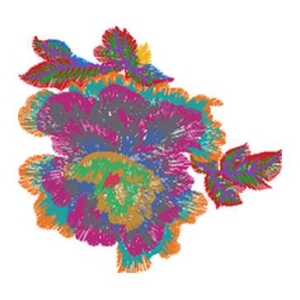 美丽花卉