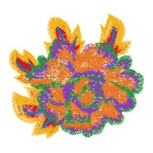 美丽花卉