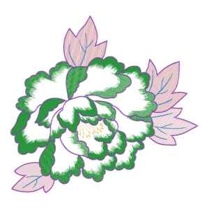 美丽花卉