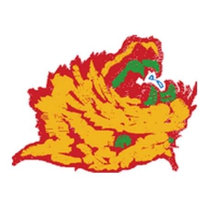 虎头图案