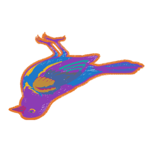 鸟
