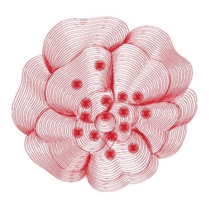 美丽花卉