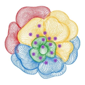 美丽花卉