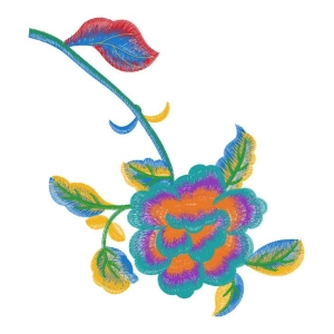美丽花卉