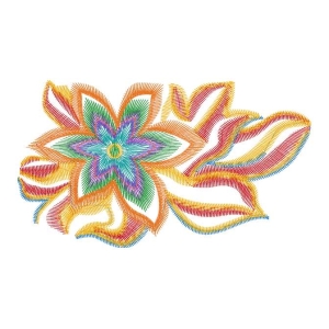 美丽花卉