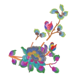 美丽花卉