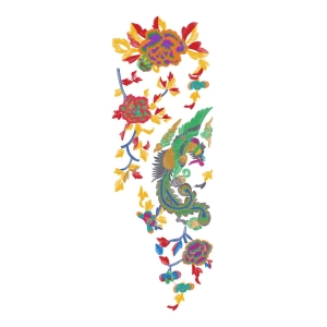 美丽花卉凤凰