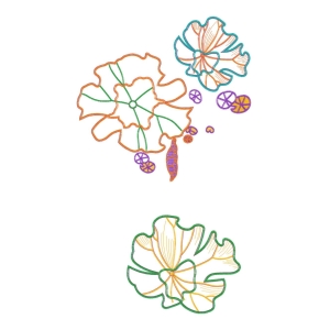 美丽花卉