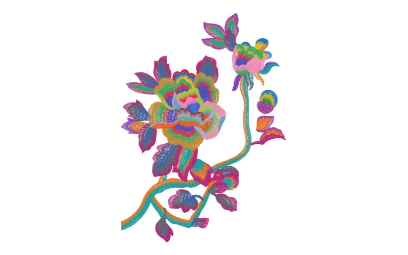 美丽花卉