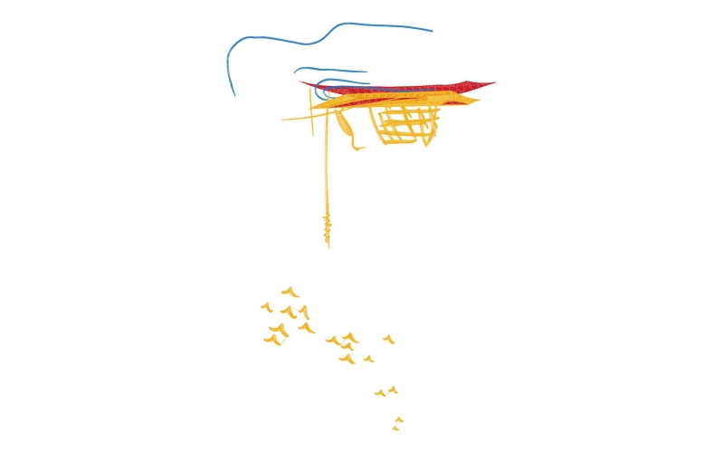 小船鸟