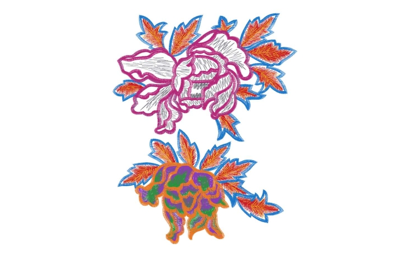 美丽花卉