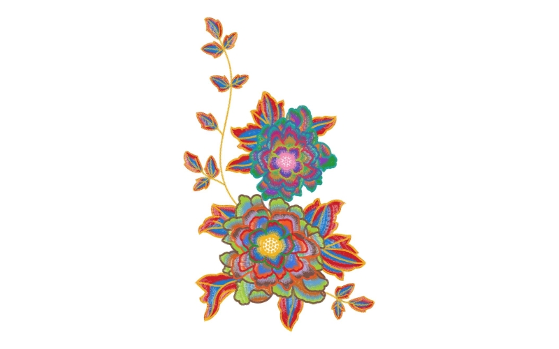 美丽花卉