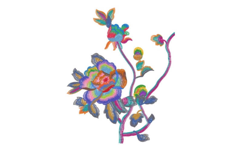 美丽花卉