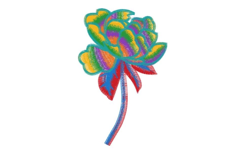 美丽花卉