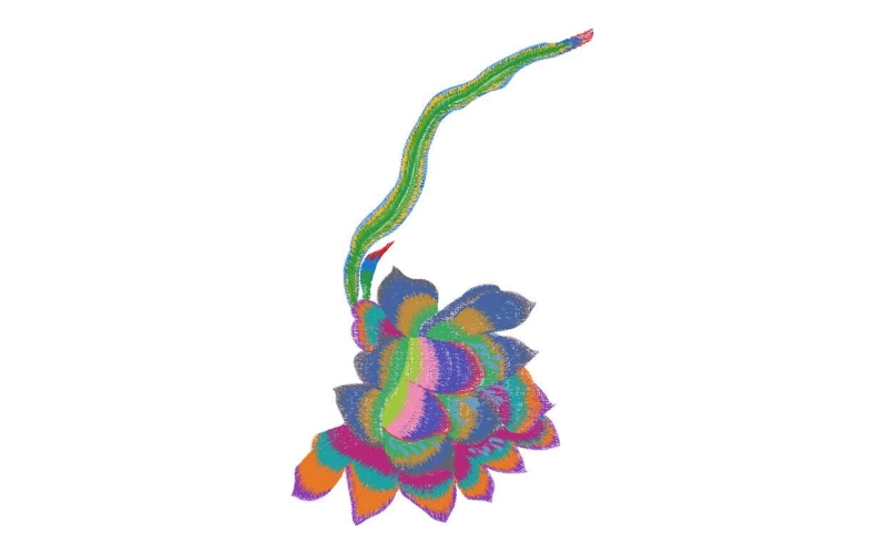 美丽花卉