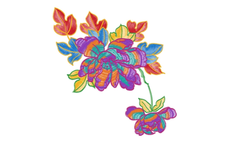 美丽花卉