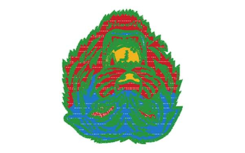 虎头图案