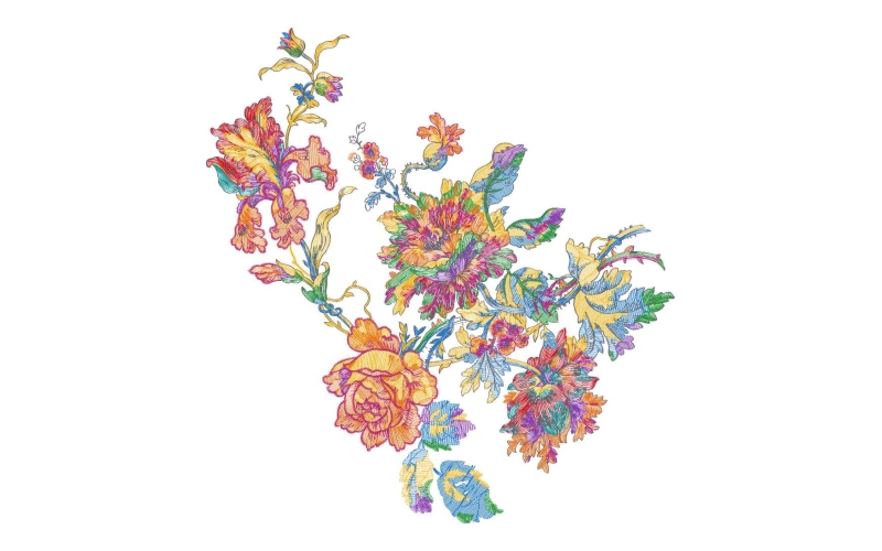 美丽花卉