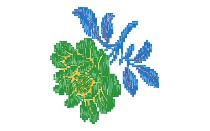 美丽花卉