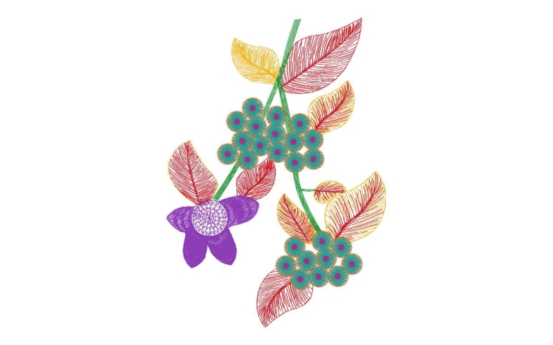 美丽花卉