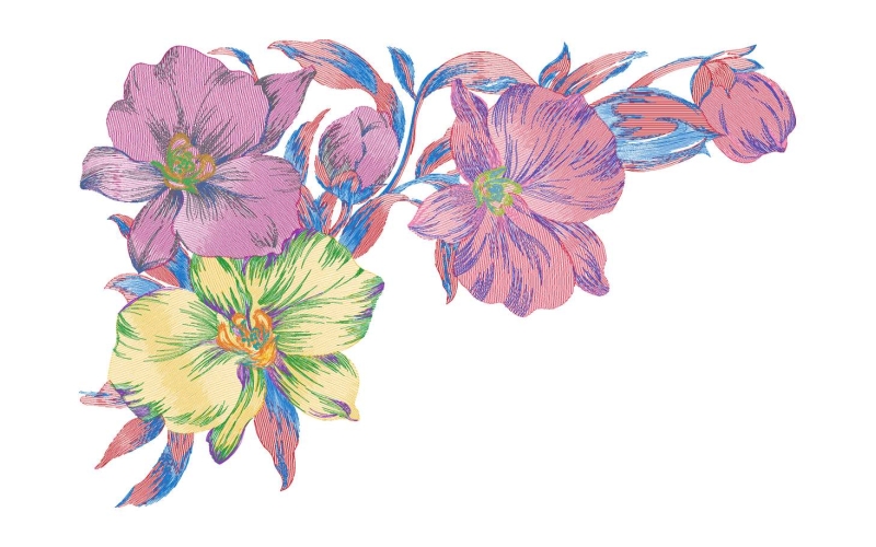 美丽花卉