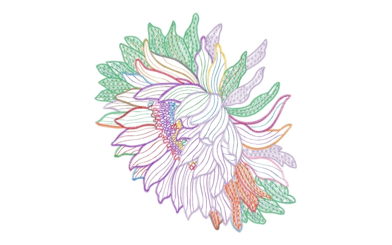 美丽花卉
