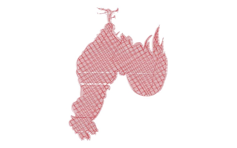 公鸡