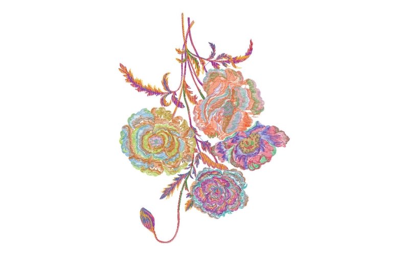 美丽花卉
