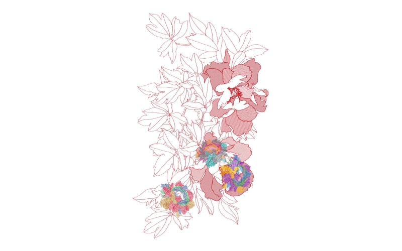 美丽花卉
