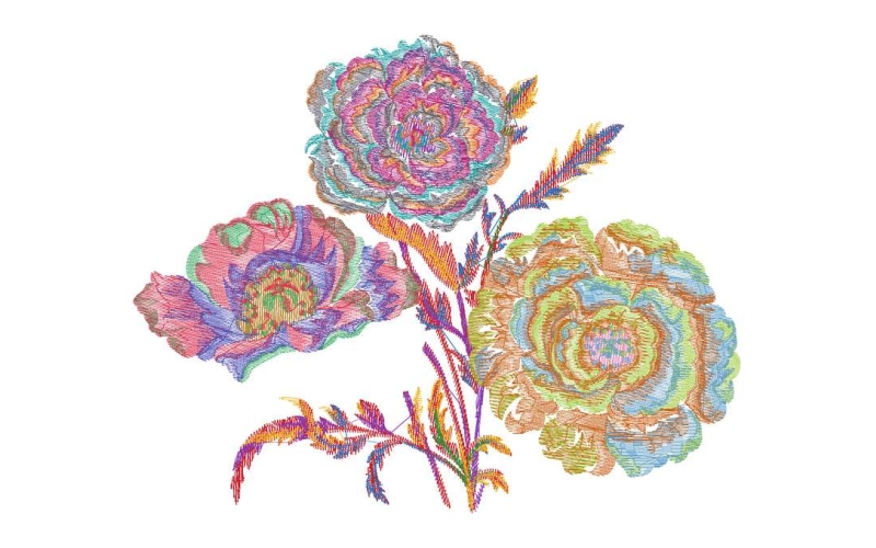 美丽花卉