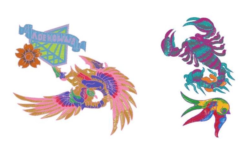鸟与龙虾