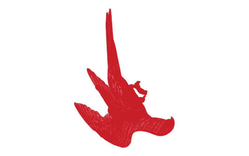 鹰