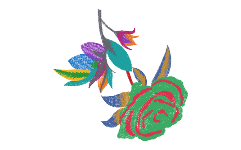 美丽花卉